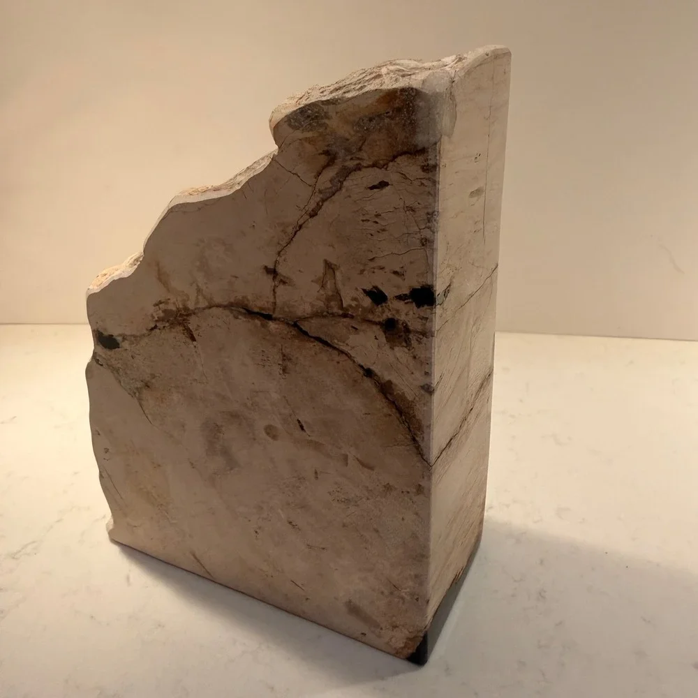 Natural Petrified Wood Single Bookend Handmade Heavy Large Neutral Bibliophile